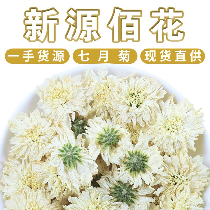 新源佰花批发散装安徽黄山七月菊 新货贡菊白菊花 太阳花菊花茶叶