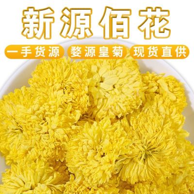 厂家批发散装新货婺源皇菊 直供大朵菊花茶 一朵一杯徽州黄菊花茶