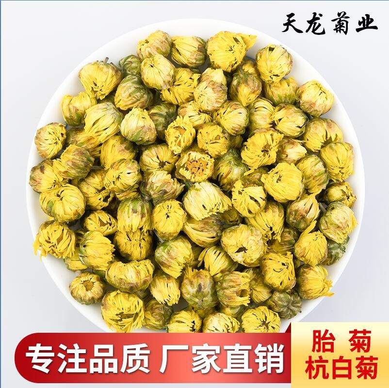 桐乡头采胎菊 菊花茶散装杭白菊胎菊王无硫产地批发厂家直销