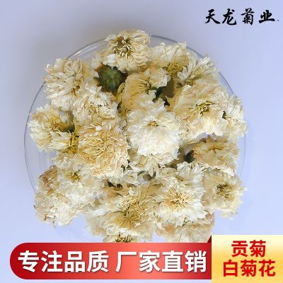 产地货源黄山贡菊 散装菊花茶七月菊太阳菊原料批发供应量大从优