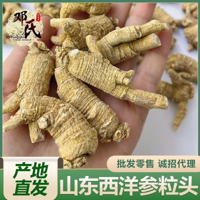 山东西洋参粒头500g 散装洋参批发 花旗参粒头规格齐全 产地直发