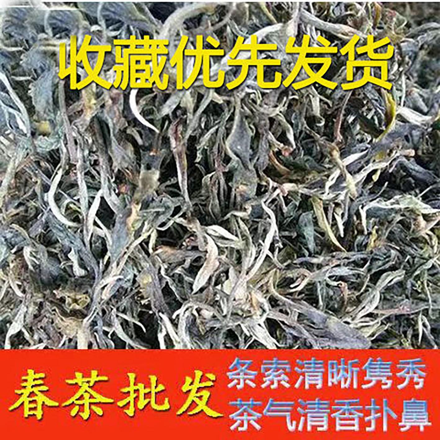 茶农直销2022年普洱茶区景迈山普洱茶生普毛料大树散茶500克/包图2