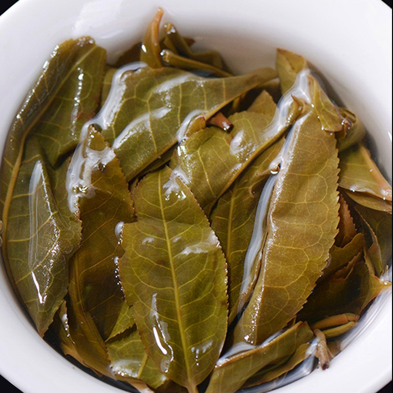 冰岛普洱茶生茶饼云南七子饼茶老古树茶纯料生普茶叶357g厂家批发图4