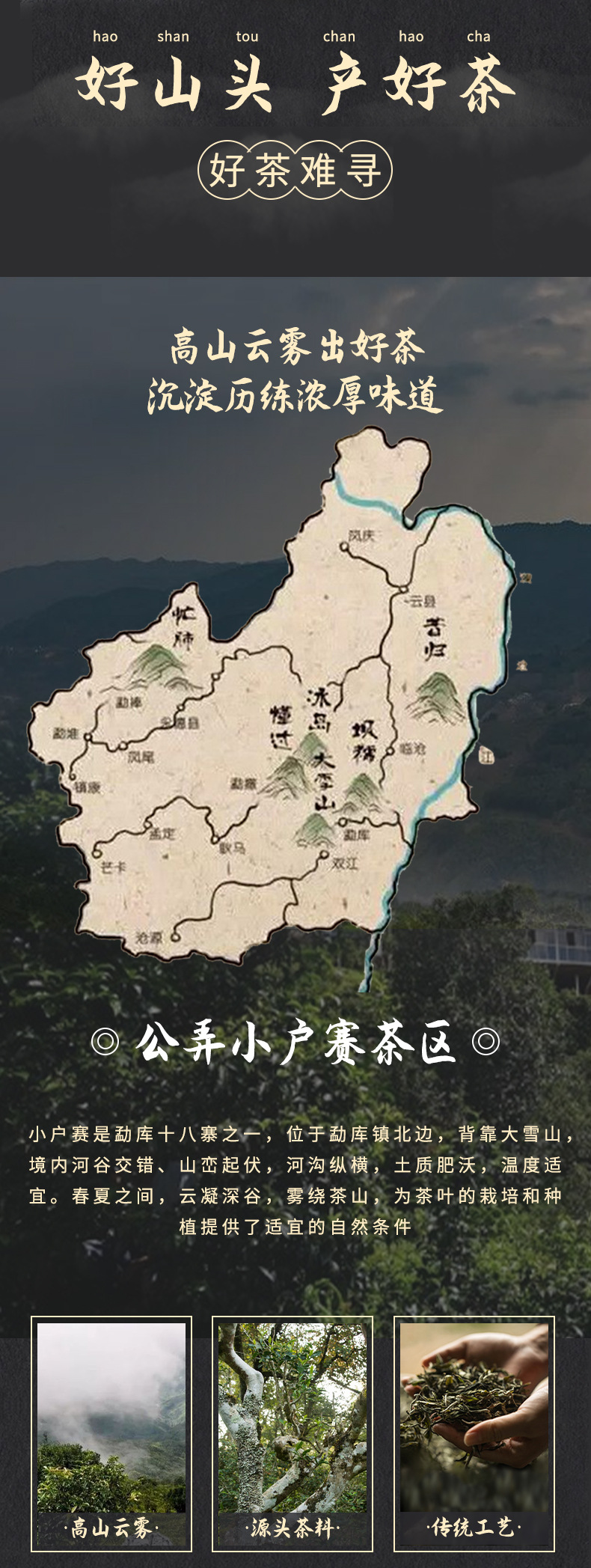 古树白茶_03.jpg