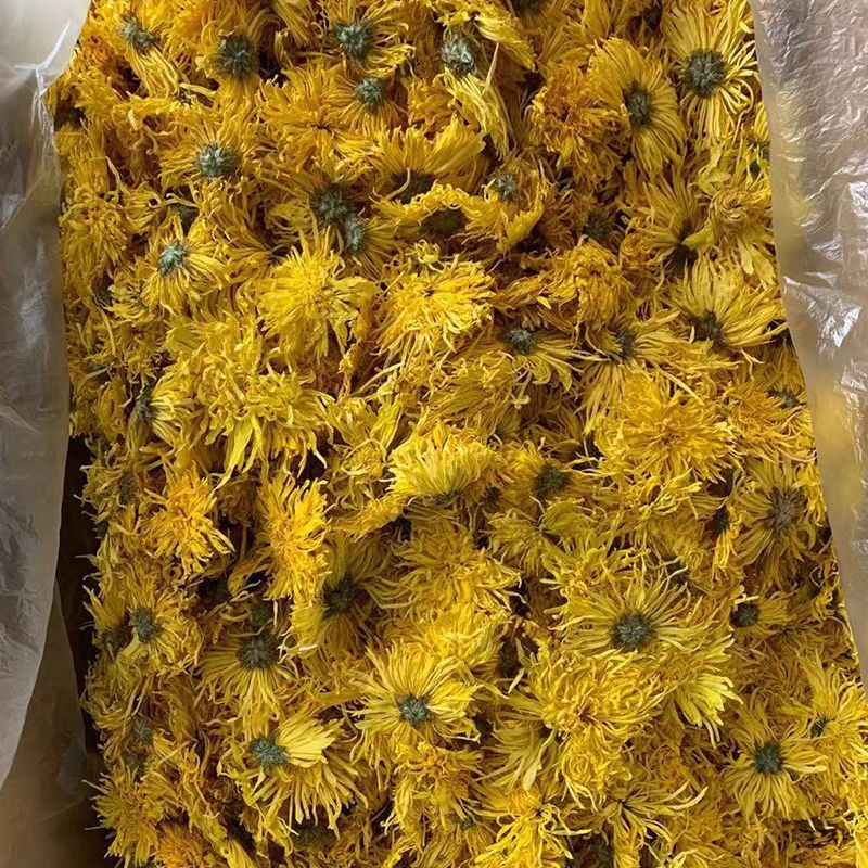 金丝皇菊散货批发大朵一朵一杯菊花金丝婺源散货产地基地供应花茶图4