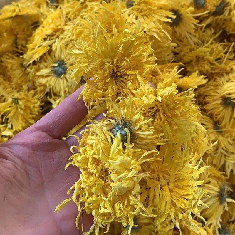 金丝皇菊散货批发大朵一朵一杯菊花金丝婺源散货产地基地供应花茶图3