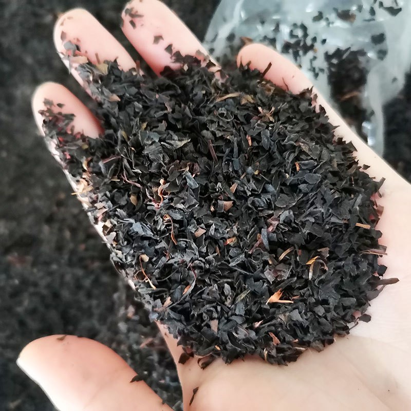 祁门红茶产地奶茶原料红茶饮料袋泡茶餐饮用茶散装碎茶末批发图2