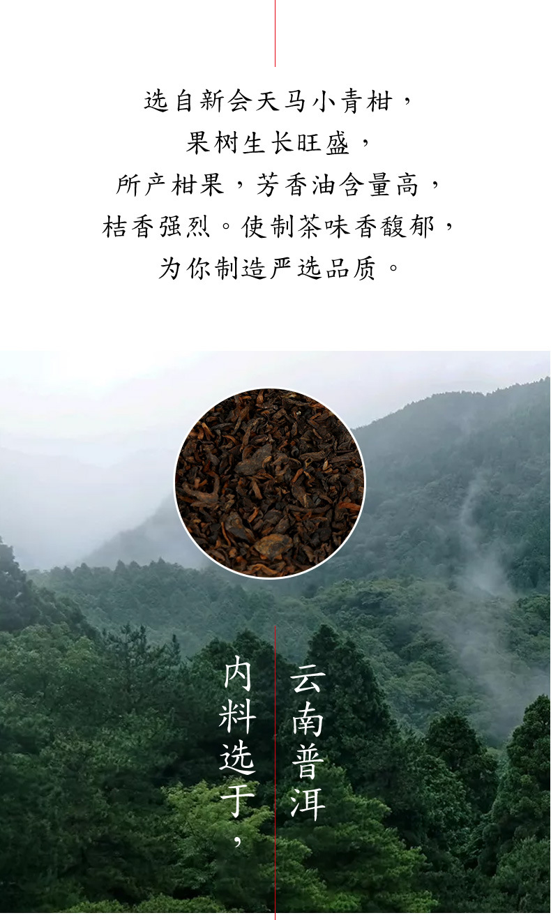 柑普茶新详情_05