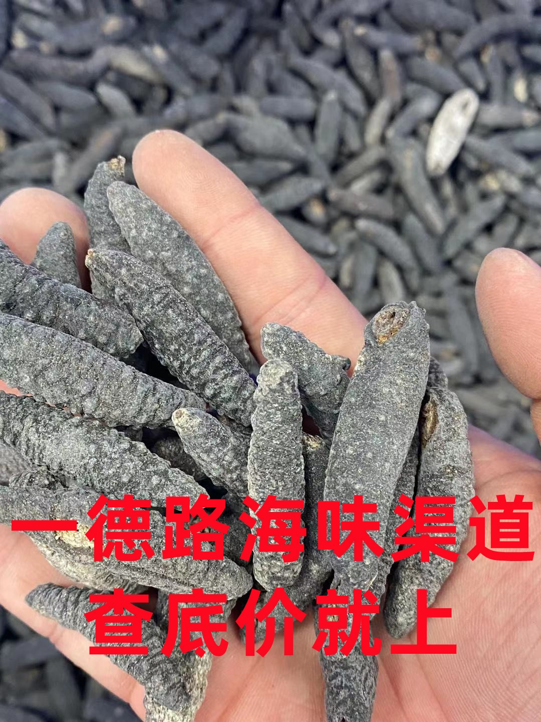 今天公布货源 淡干140头微刺土耳其￥350图1