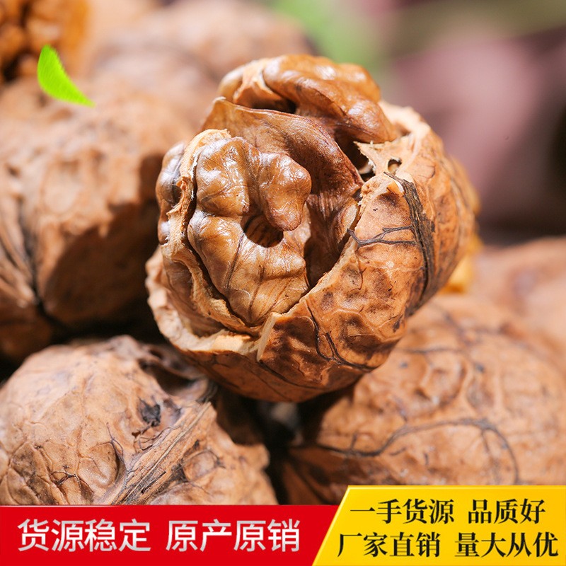 云南特产野生老树泡核桃一级果批发新鲜去青皮原味生核桃坚果图2