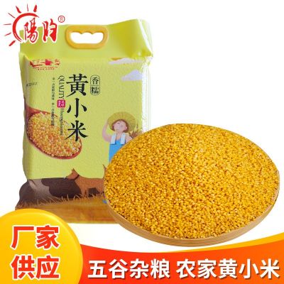 黄小米农家小米粥月子米散装2.5kg批发 小米五谷杂粮厂家批发