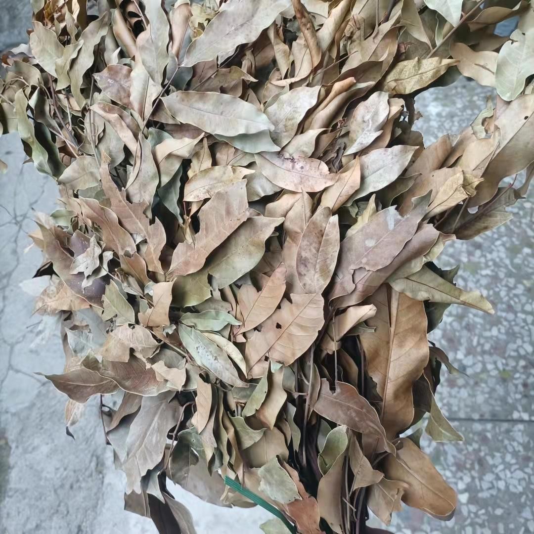 玉林特产大茶叶大叶茶广西六万山甜茶山茶甘甜可口消暑花草茶半斤图4