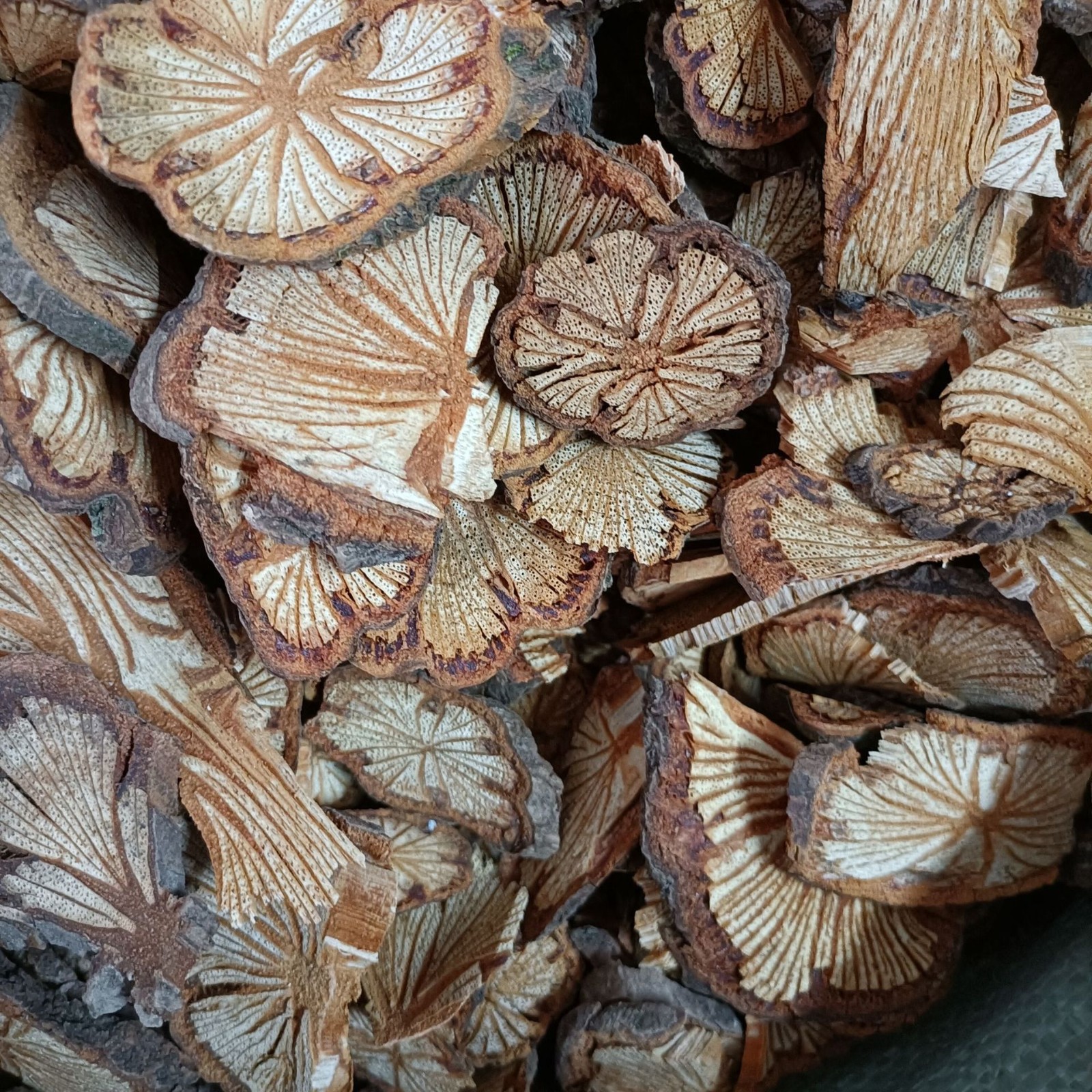 广西红藤 脑血通片 大血藤 血藤 红皮藤 红藤片 当季干货大量批发图5