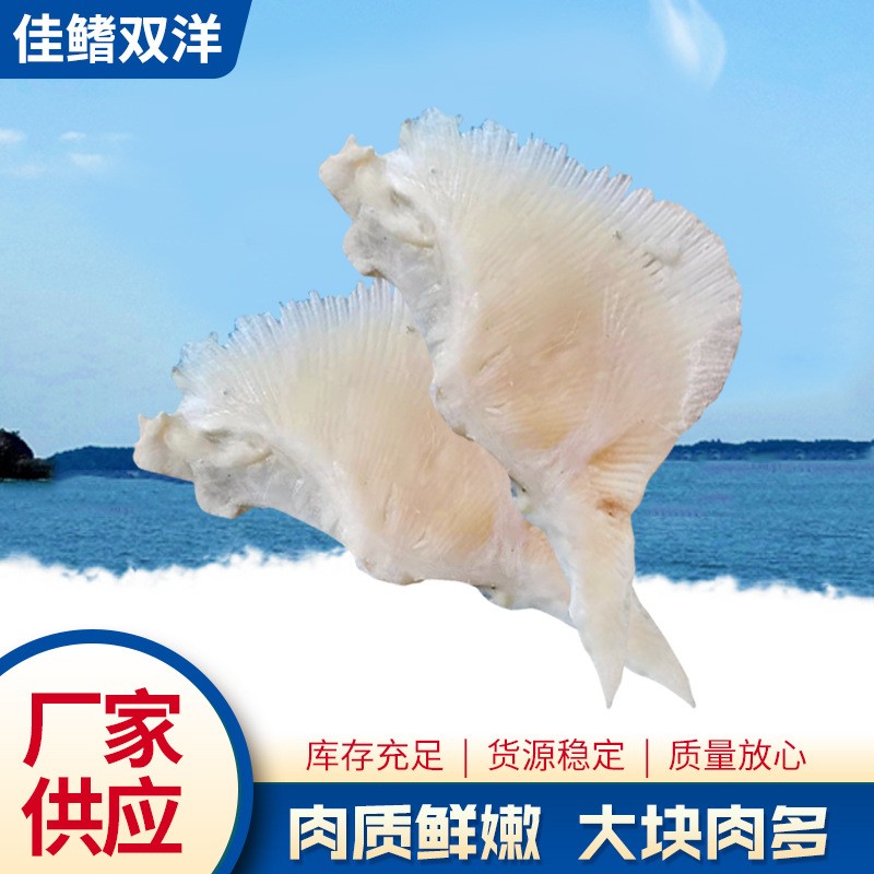 冷冻鱼翅厂家 农家乐饭店食用速冻鱼翅 独立包装水产海鲜鱼翅