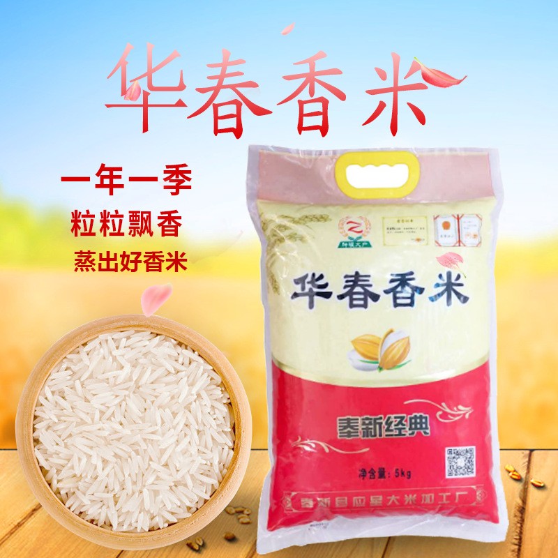 新米奉新华春香米10斤袋装家用米弹润有嚼劲家庭装长粒大米