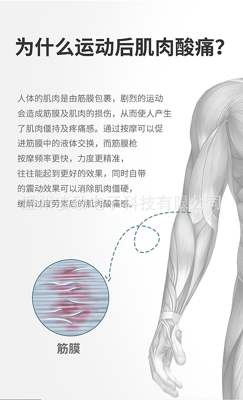 阿里巴巴-筋膜枪-健肌枪_03.jpg