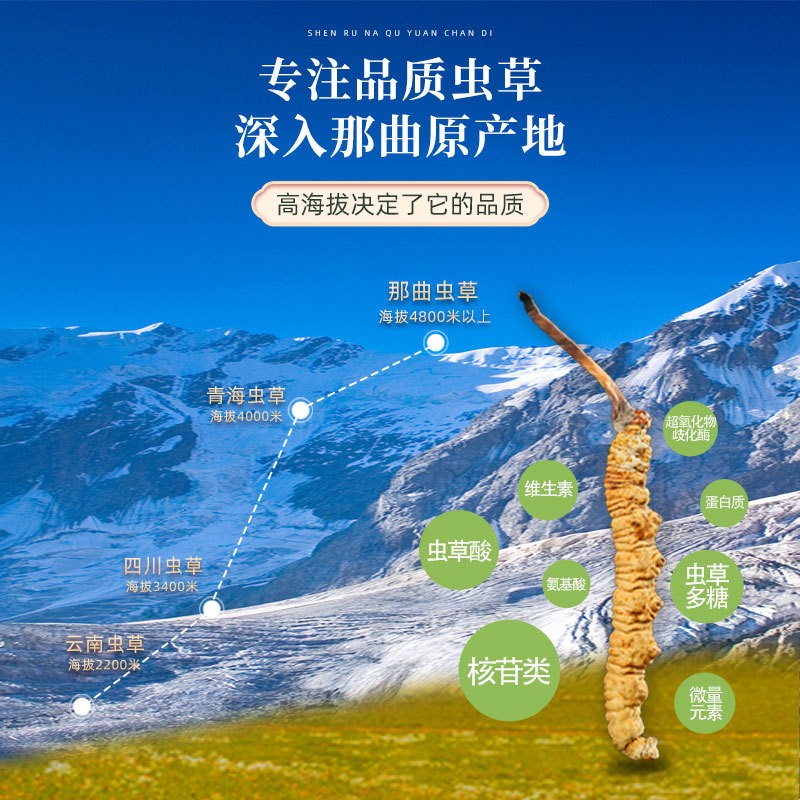 西藏那曲正品干货冬虫夏草3根/克装头期干虫草礼盒装大货批发图2
