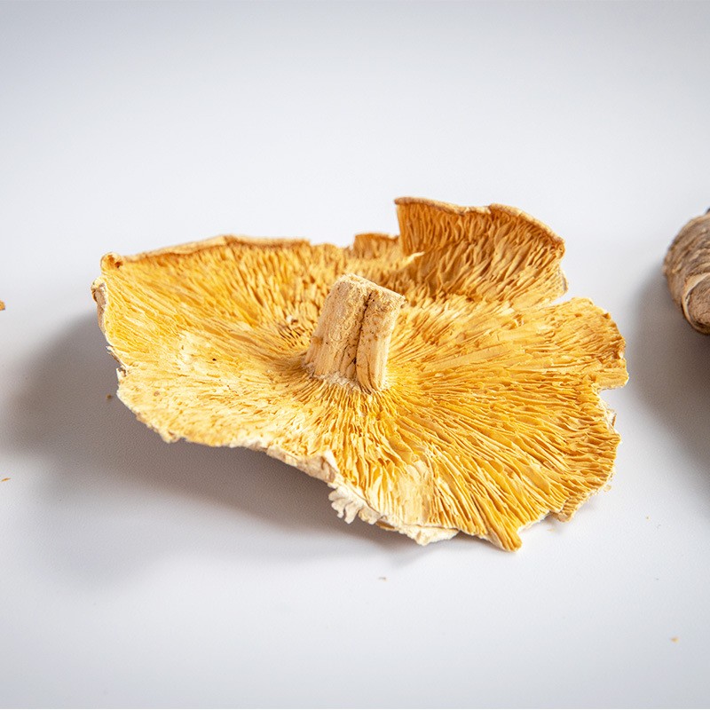 大片薄菇 带柄大香菇 产地直销 工厂香菇性价比之选 菌菇图5