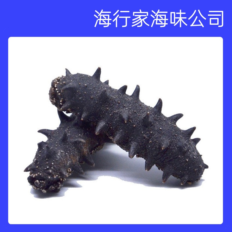 海行家海味大连海参淡干海参 40-200头辽参海刺参小白刺参批发图1