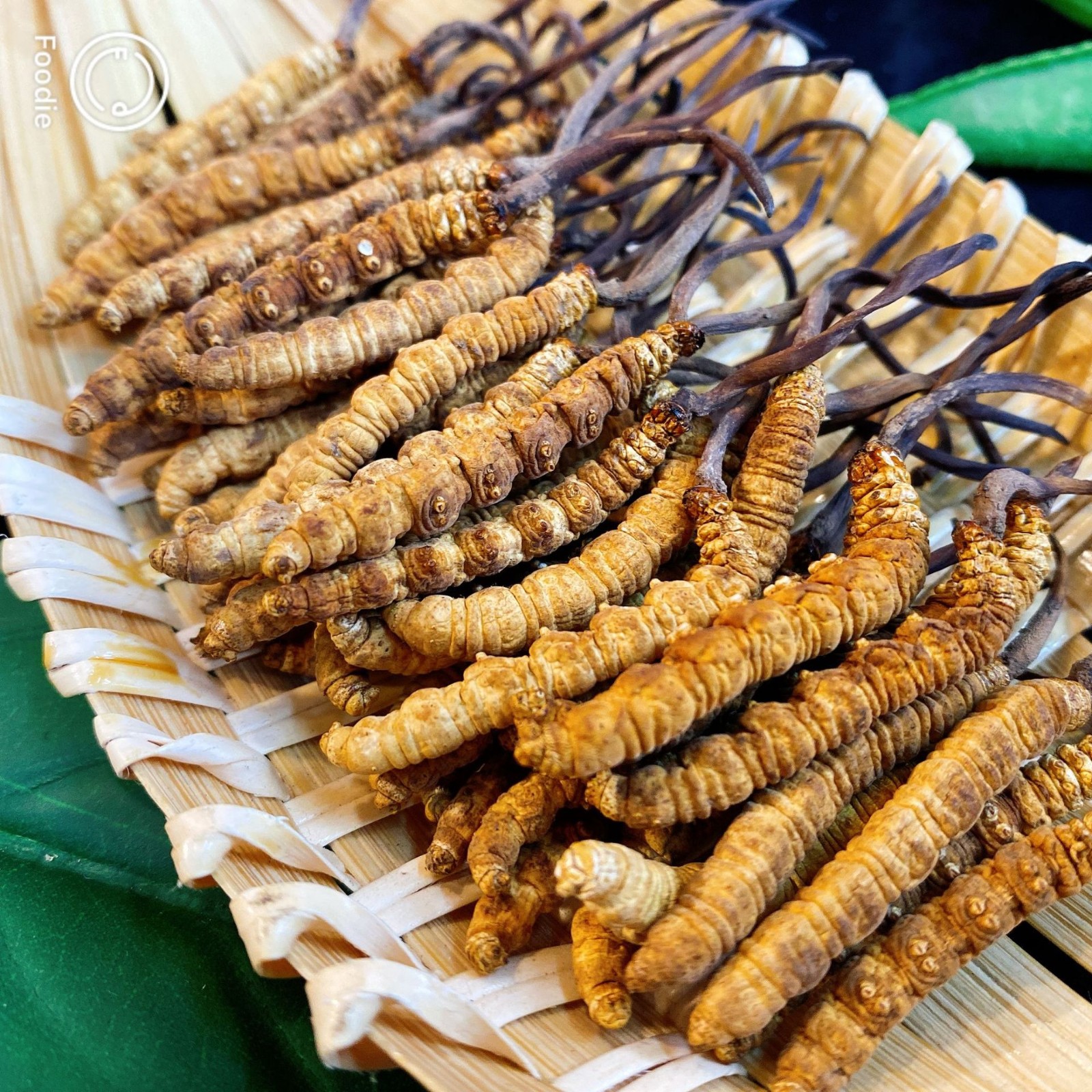 西藏那曲冬虫夏草 原产地直供各规格冬虫草干冻虫草茶 虫草代发图1