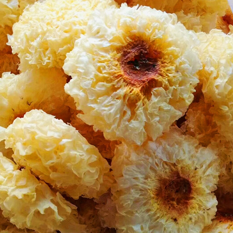 福建古田银耳整朵500g散装特产银耳子食用菌白木耳大雪耳现货批发图3