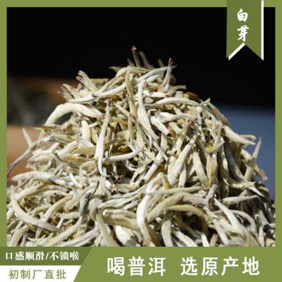 云南普洱茶批发2021年新茶单芽白茶 景谷大白毫 大白芽散装500g