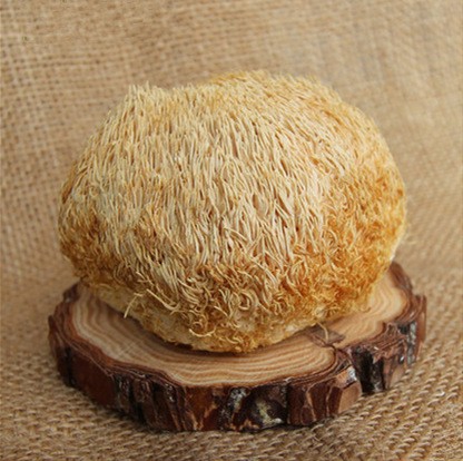猴头菇散装500g色好产地古田食用菌干货批发图3