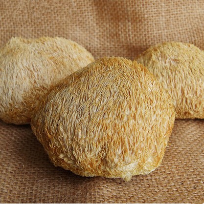 猴头菇散装500g色好产地古田食用菌干货批发图4