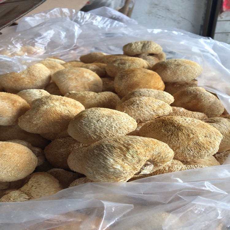 猴头菇散装500g色好产地古田食用菌干货批发图2