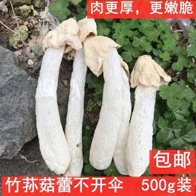 新烘烤竹荪菇蕾干货500g不开伞竹笙无裙杆子不硫熏农家货特产