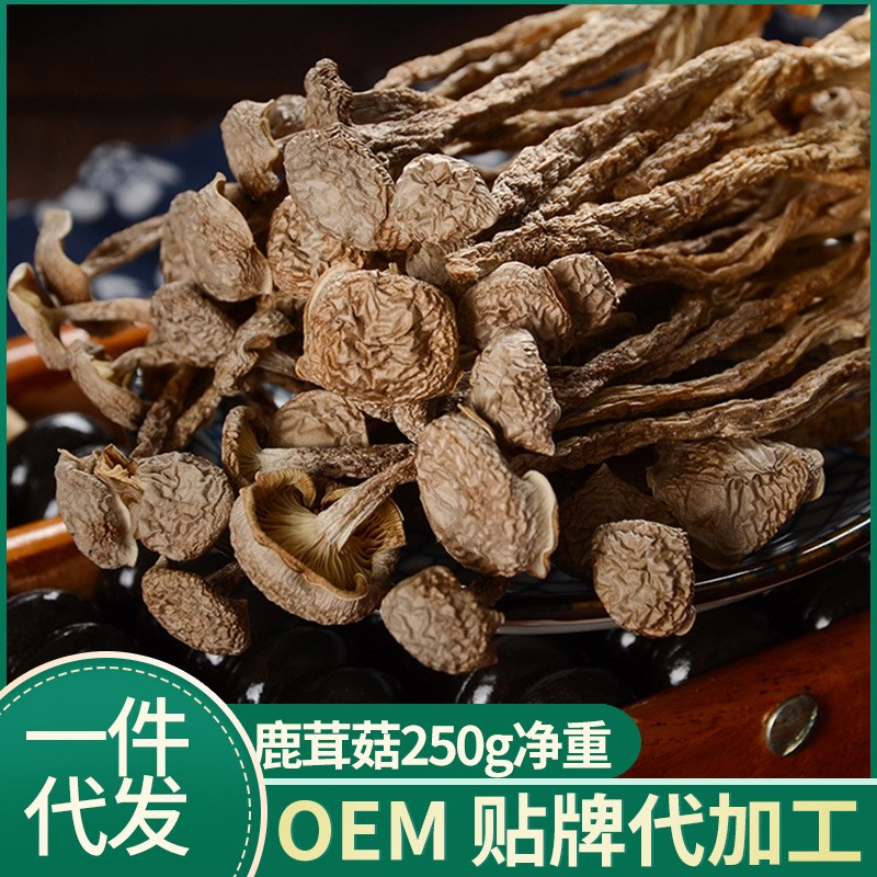 【一件代发】古田鹿茸菇60/250克干鹿茸菌菇干货批发云南特产新货图1
