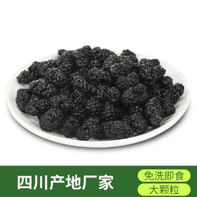 A+级22年新货桑葚干食用桑果四川产地免洗无沙黑桑椹干果子茶散装