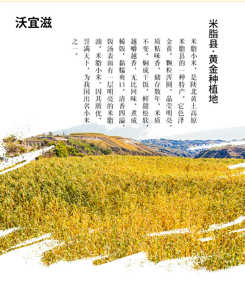 2019.6.5