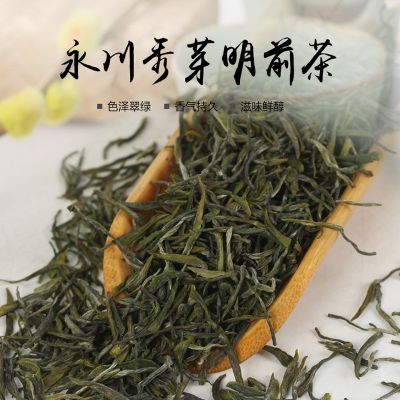 新茶 清香型叶底鲜嫩 永川秀芽明前茶早春嫩芽