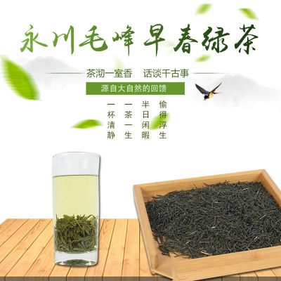 2021新茶早春绿茶永川毛峰 高香耐冲泡型茶叶