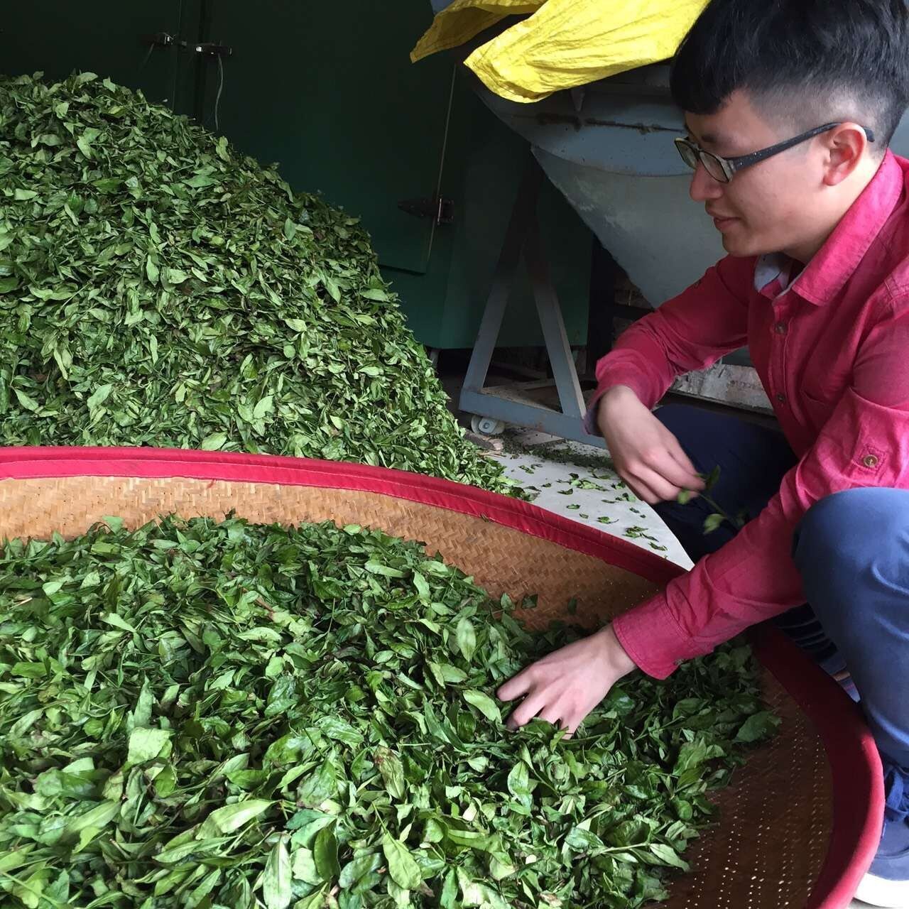 乌龙茶 福建特产 武夷山大红袍 厂家批发 散装茶叶 2022年秋茶图5