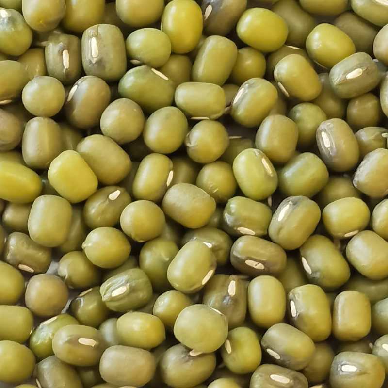 粗粮绿豆大量批发 绿豆粥原料 五谷杂粮 陕西供应绿豆厂家直供图4