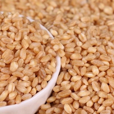 小麦批发 脱皮脱壳小麦 食品厂小麦粉八宝粥原料 五谷杂粮