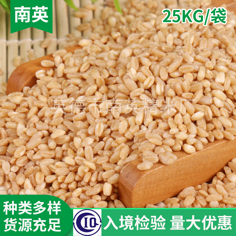 小麦批发 脱皮脱壳小麦 食品厂小麦粉八宝粥原料 五谷杂粮图3