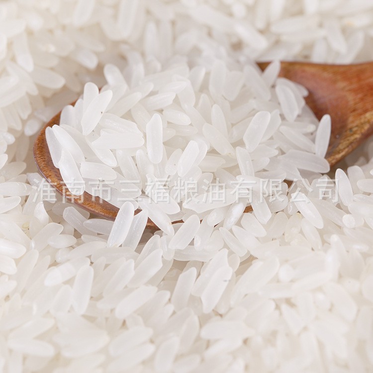 双裕农家香米10kg厂家销售香米量大供应属于香米