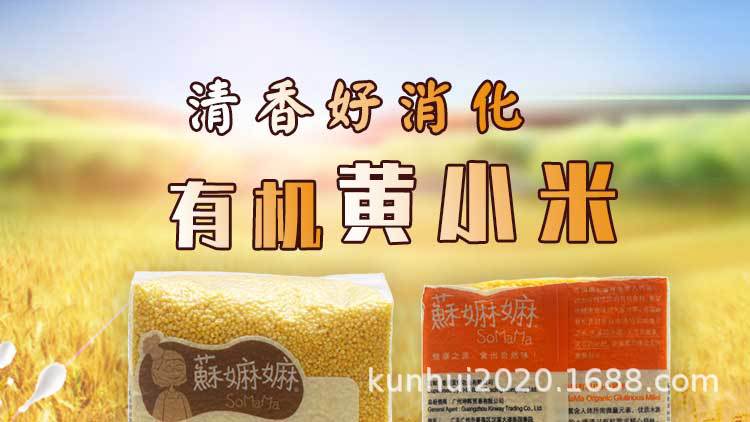黄小米详情_2019xQ_01.jpg