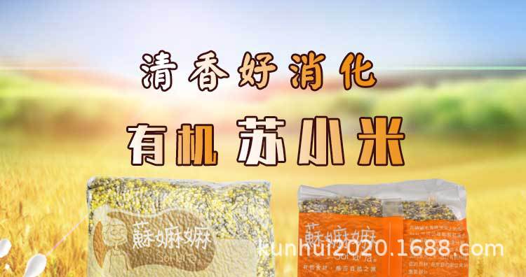 苏小米详情_2019xQ_01.jpg