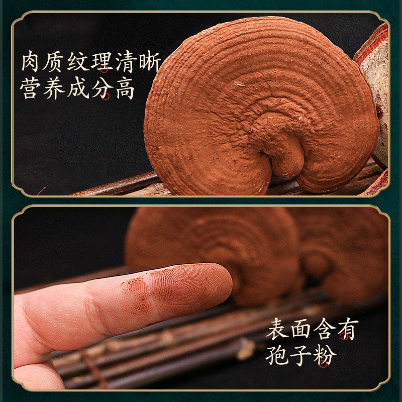 批发整朵赤灵芝切片500g克东北长白山林芝林下灵芝一件代发图4