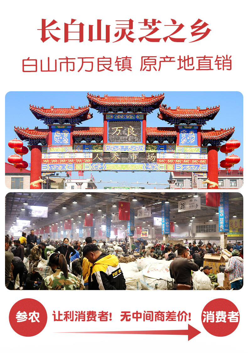 孢子粉详情_02.jpg