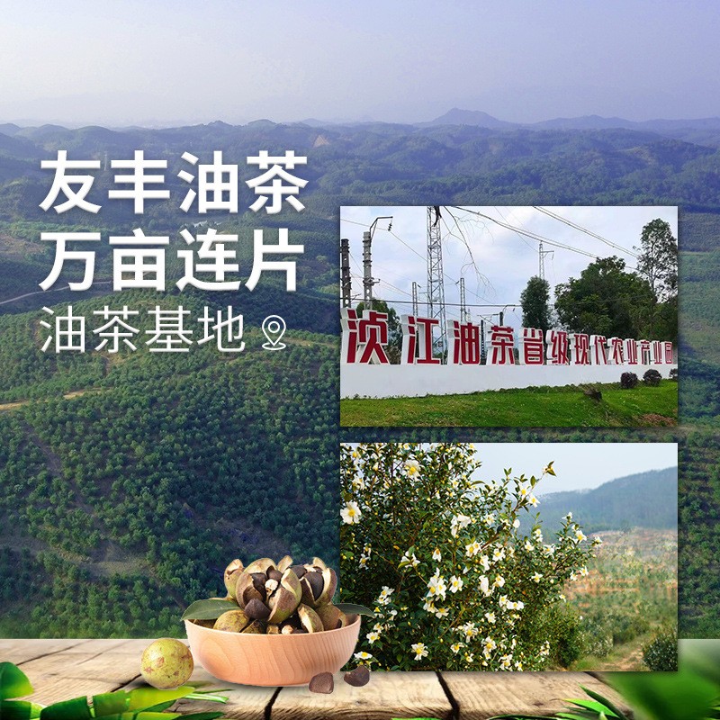 恒百年1.8L装茶油野山茶油茶籽油压榨山茶籽油厂家批发直销食用油图3
