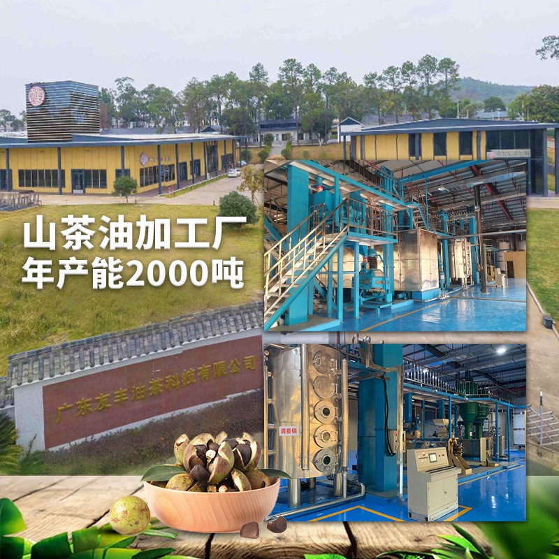 恒百年1.8L装茶油野山茶油茶籽油压榨山茶籽油厂家批发直销食用油图4
