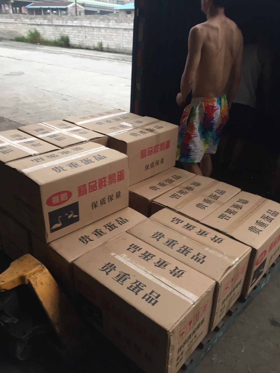 直销鲜鹅蛋鹅蛋狮头鹅蛋鹅蛋图2