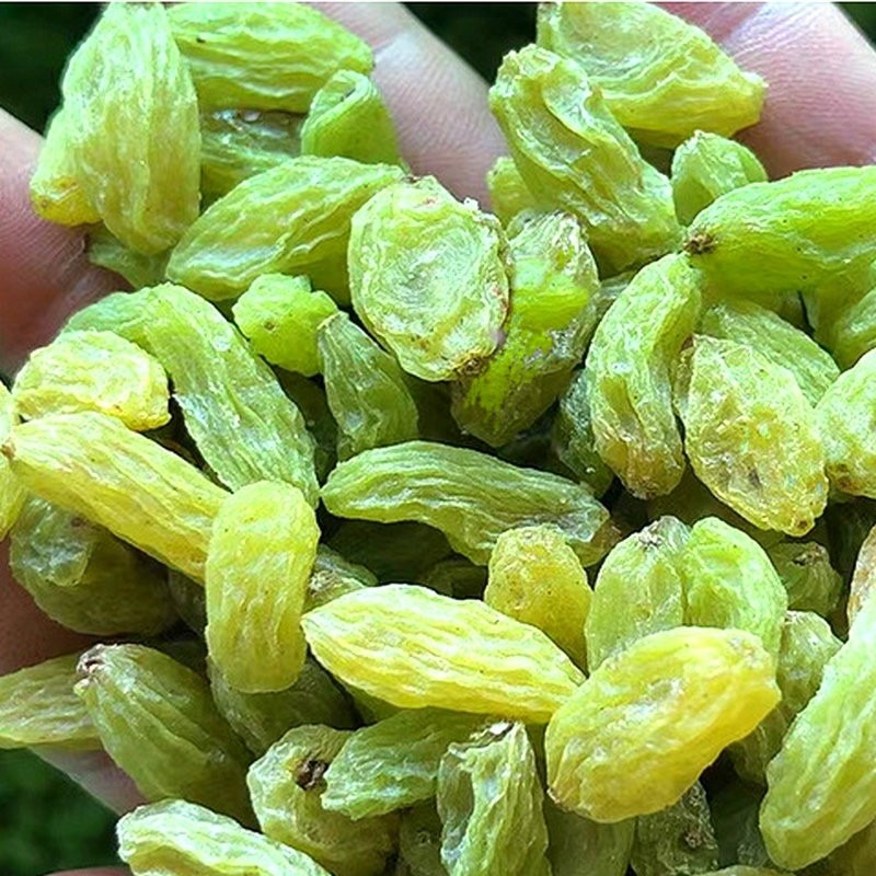 新疆吐鲁番特产特级葡萄干大量批发500g散装零食大颗粒无核提子干图4