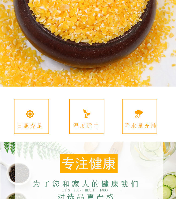 玉米粒、_02.jpg
