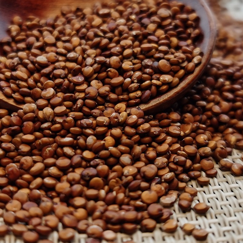 玻利维亚红藜麦 红色藜麦 50斤散装整件批发 量大价格优